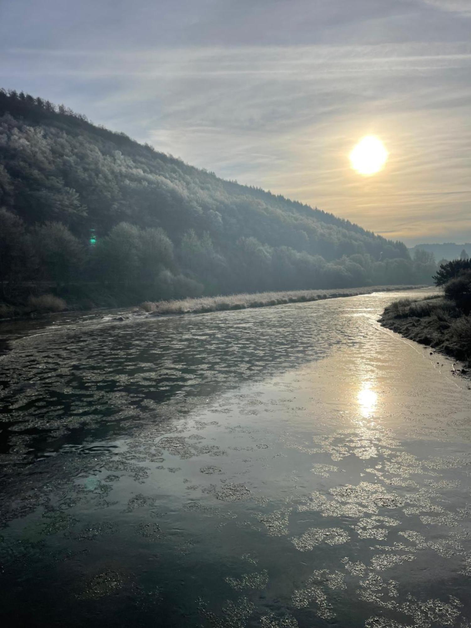 La Petite Passerelle A Mouzaive Vresse-sur-Semois Kültér fotó